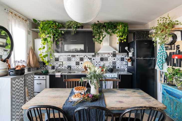 Hanging plants deals above dining table